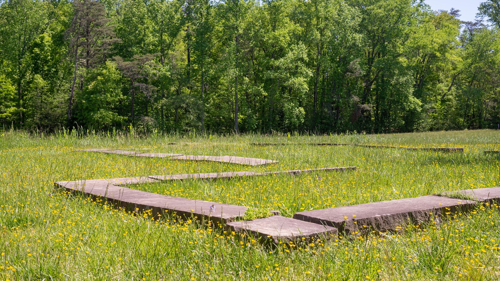 A stone foundation of a house site in a field.