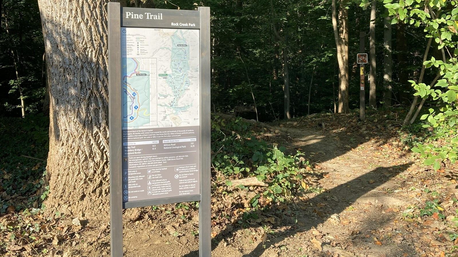 trailhead sign at the edge of the forest