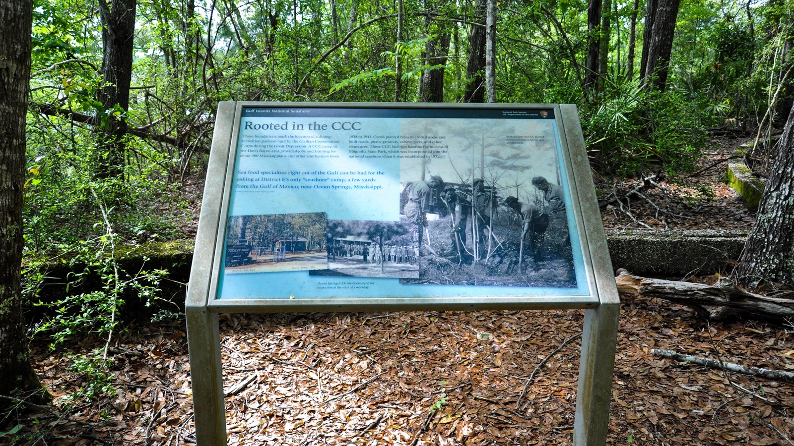 A wayside providing information on the CCC Overlook Trail stands in the forest.