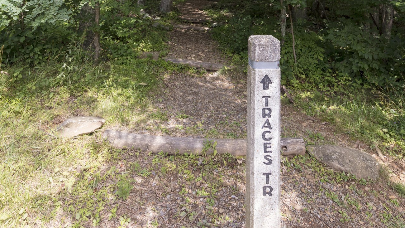 A concrete post at the head of a trail that reads: Traces Trail