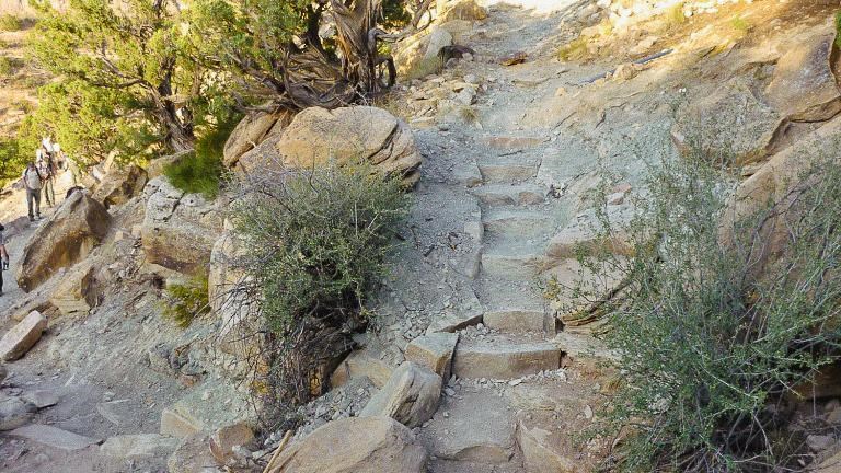 stone steps among juniper trees, sunny above