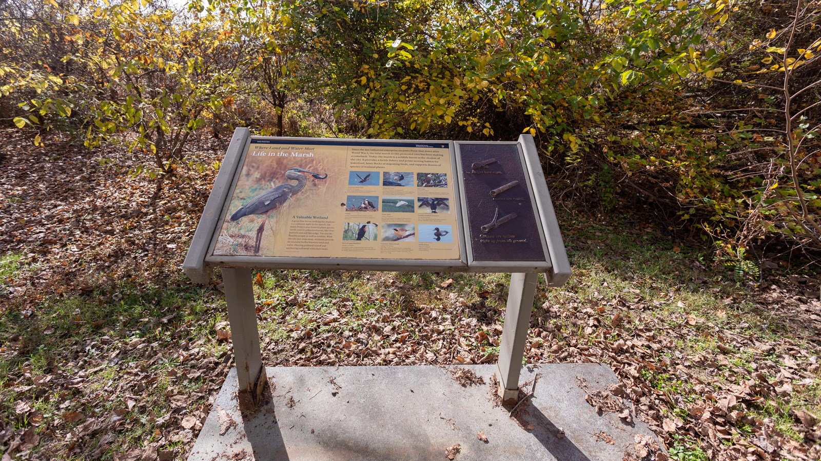 An angled information panel with images of birds.