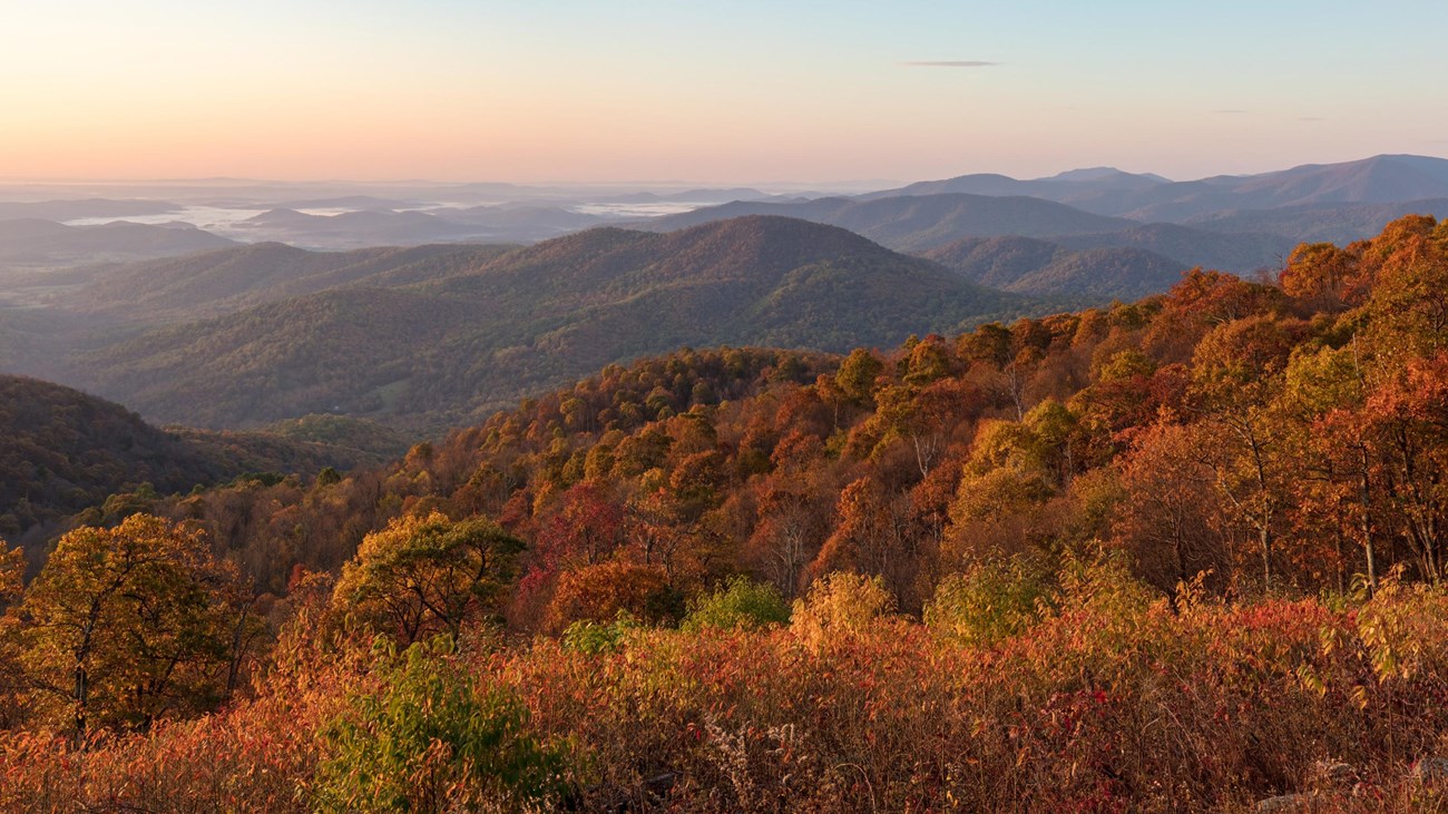 A view from an overlook down into a valley below filled with fall colors of red and orange.