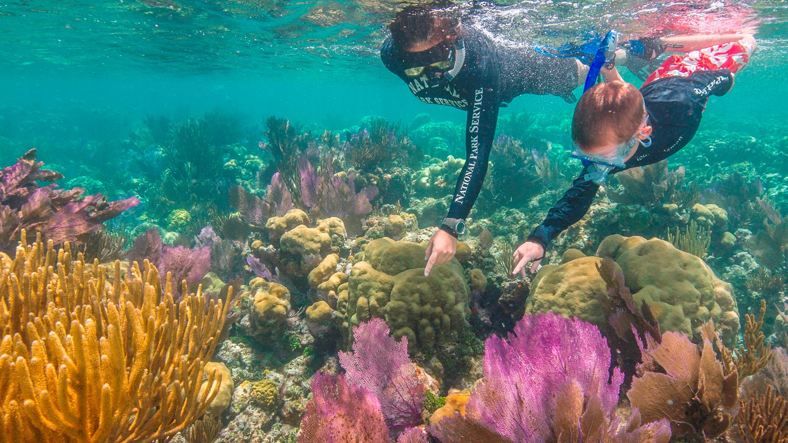 Park Ranger and youth snorkeling