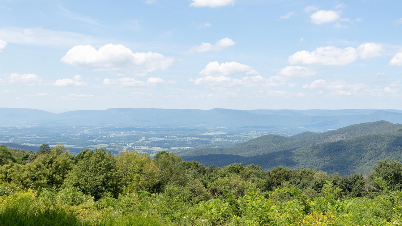 Green trees surround an overlook looking down into a valley below.