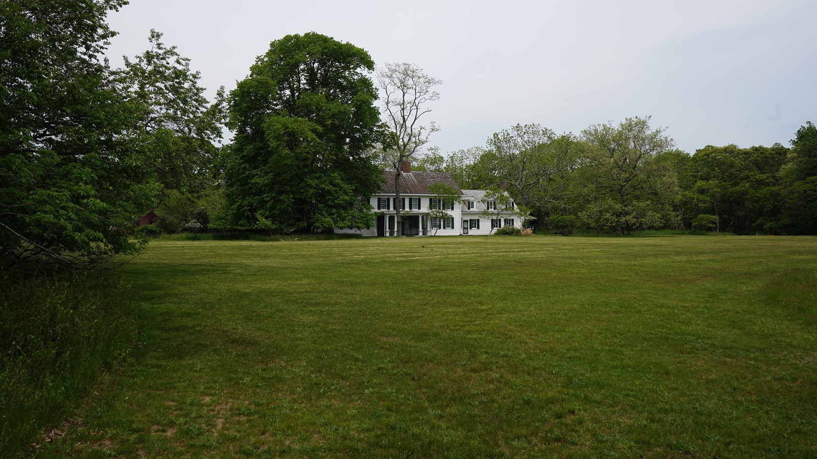 A distant white manor is situated behind a wide open field and in front of tall trees.