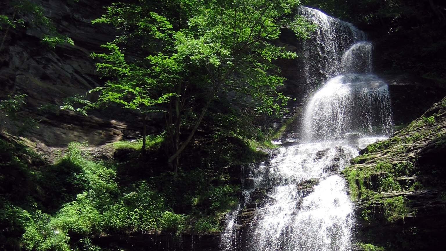 Water flowing down dark brown moss covered rocks into a shallow pool of water