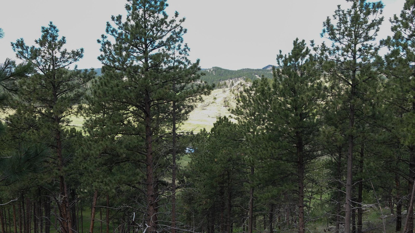 Post #5 Open Spaces are Great Places