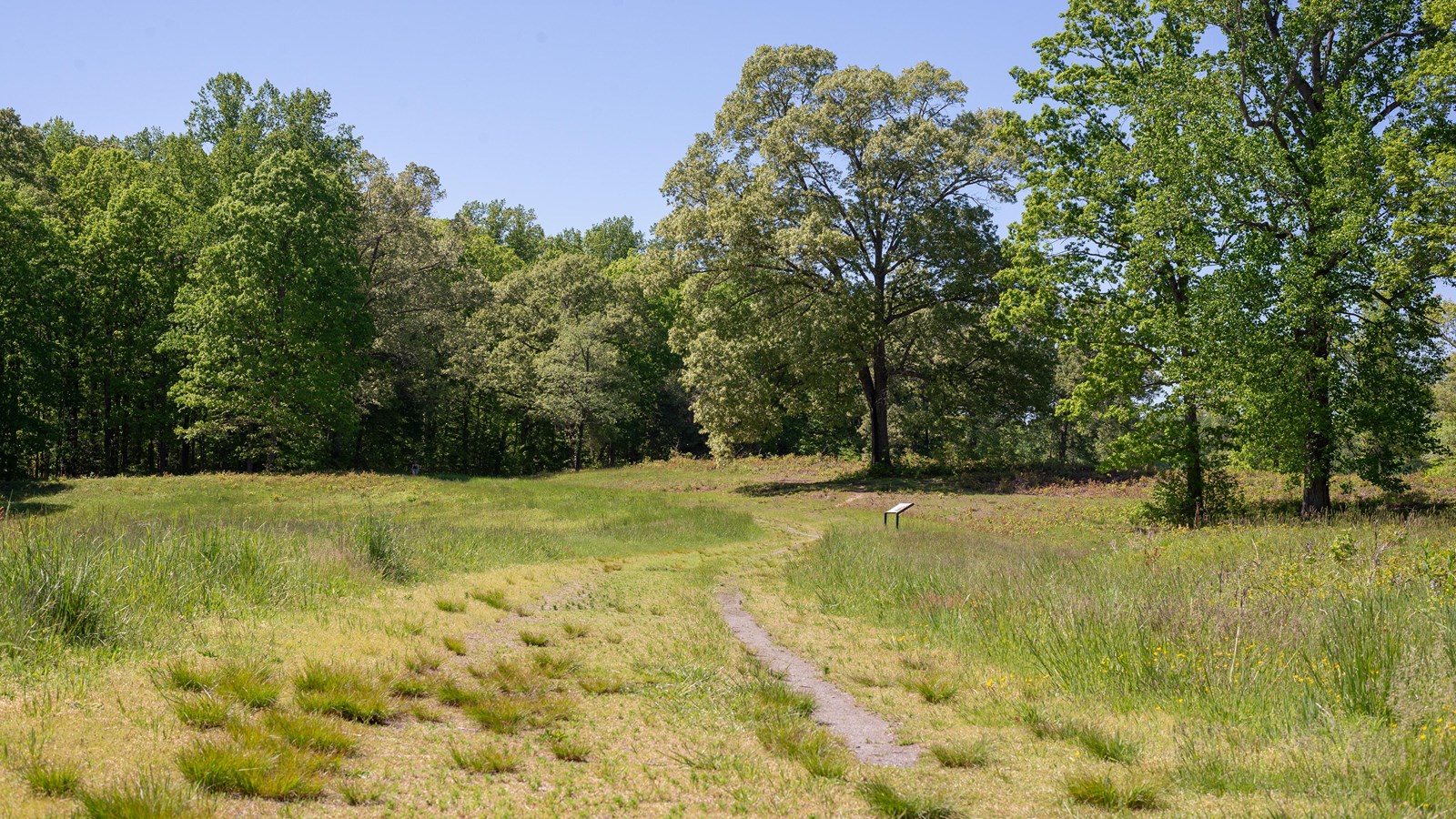 A grassy trail follows along a tree lined field.