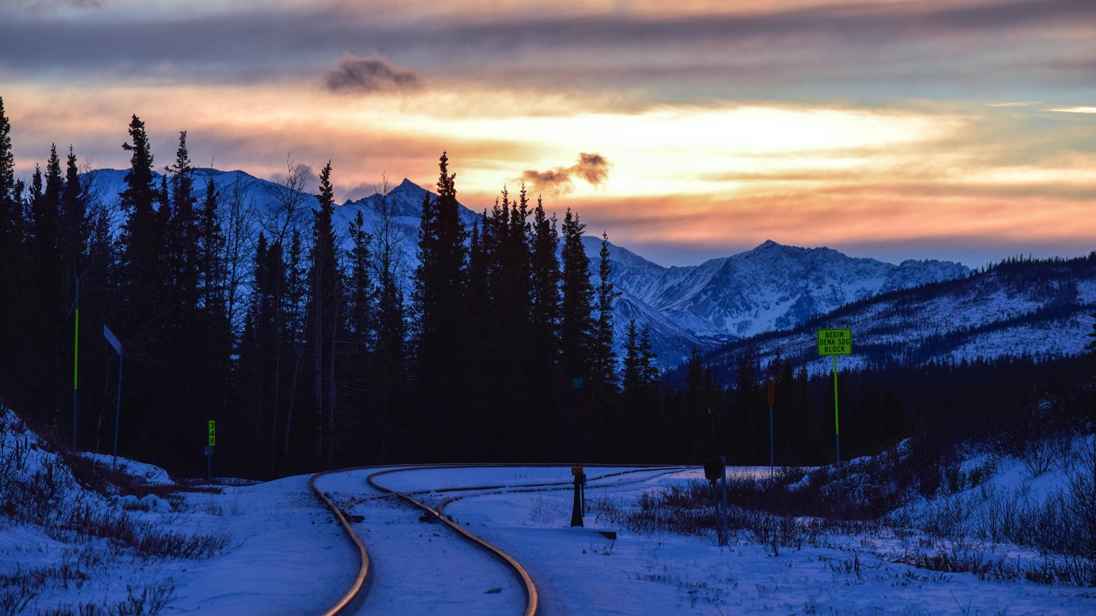 snowy railroad in a forest of skinny spruce trees