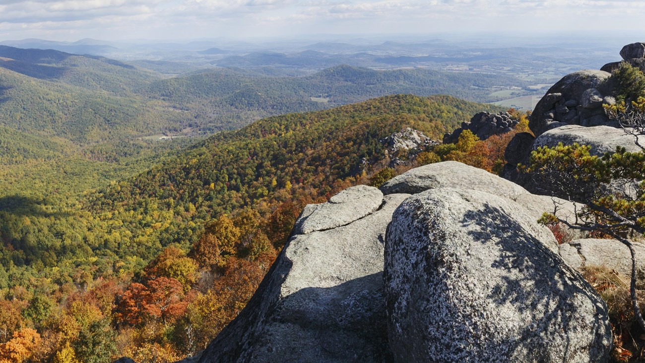 A summit of rocks highlighted by the yellows and reds of fall colors.