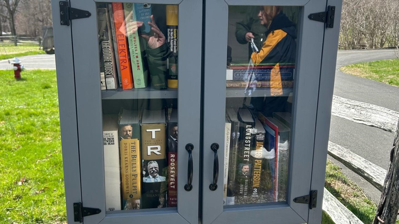 A gray Little Free Library standing on a grass lawn