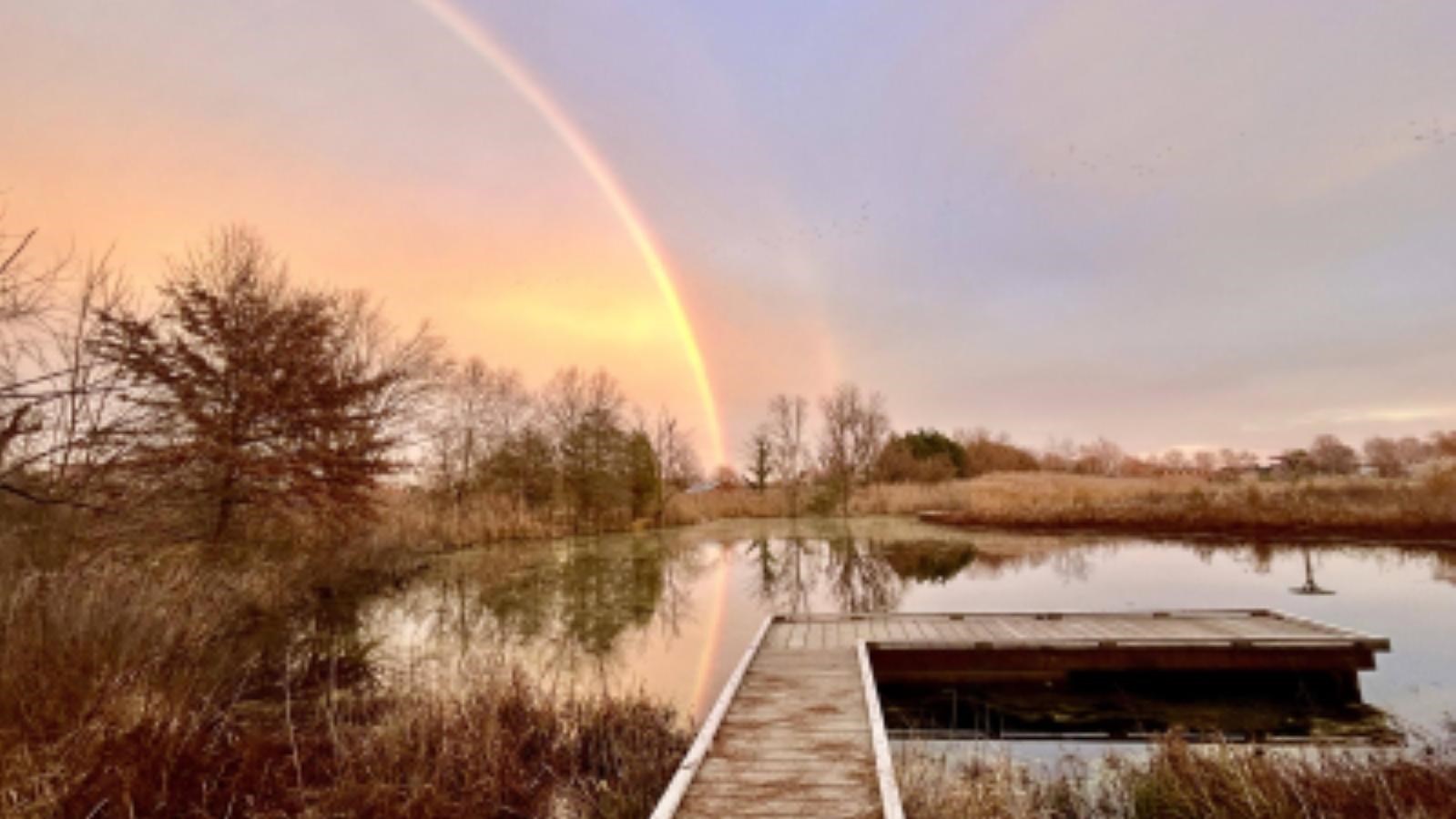A rainbow arches over a dock on a calm pond, surrounded by trees and dry grasses under a sunset sky.