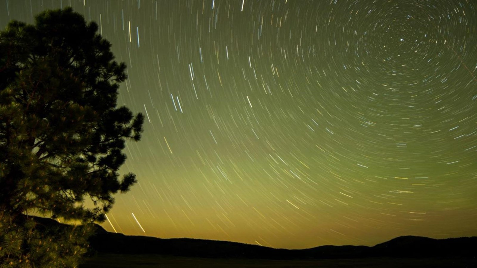 Star trails encircling the north star over a dark, montane grassland