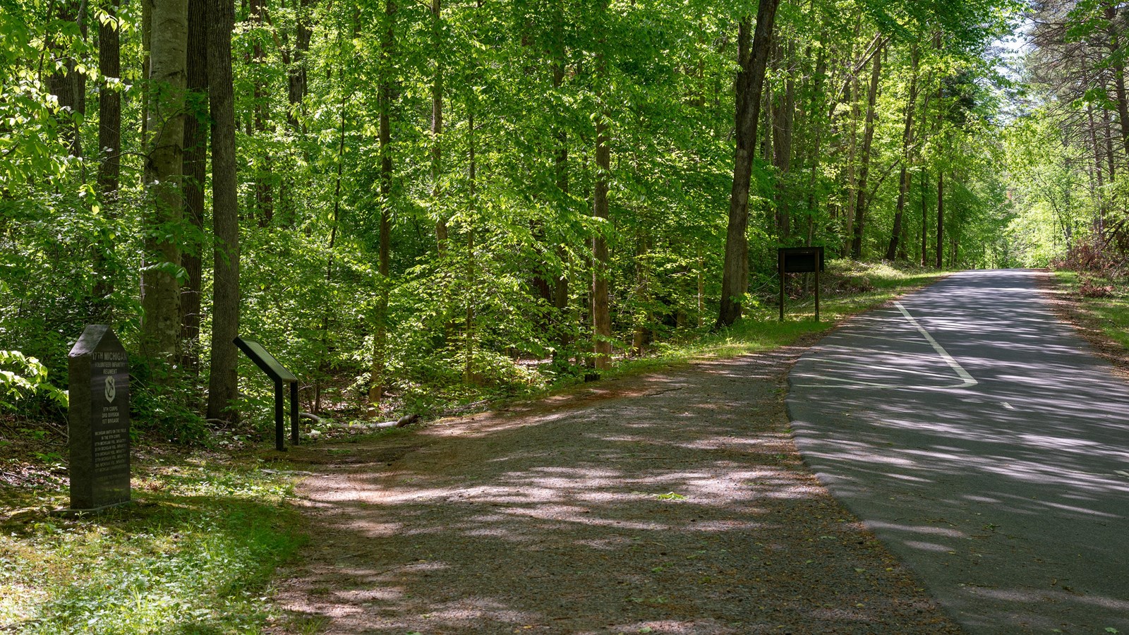 A treelined road with a pullout on the right.
