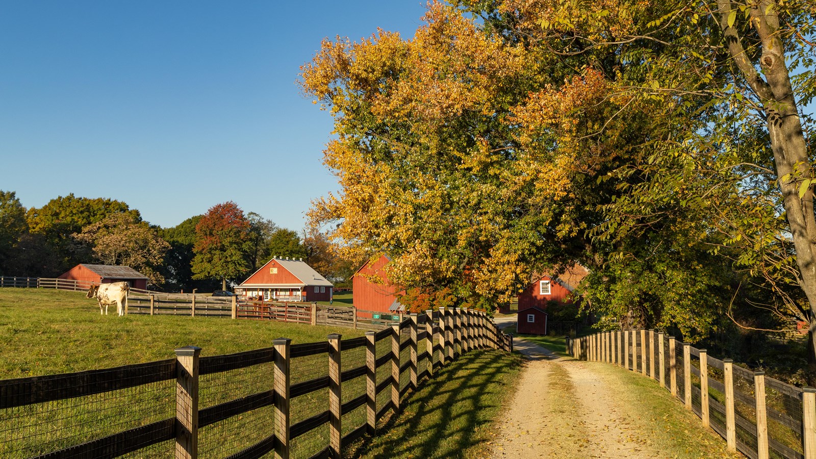 A red barn surrounded by a farm