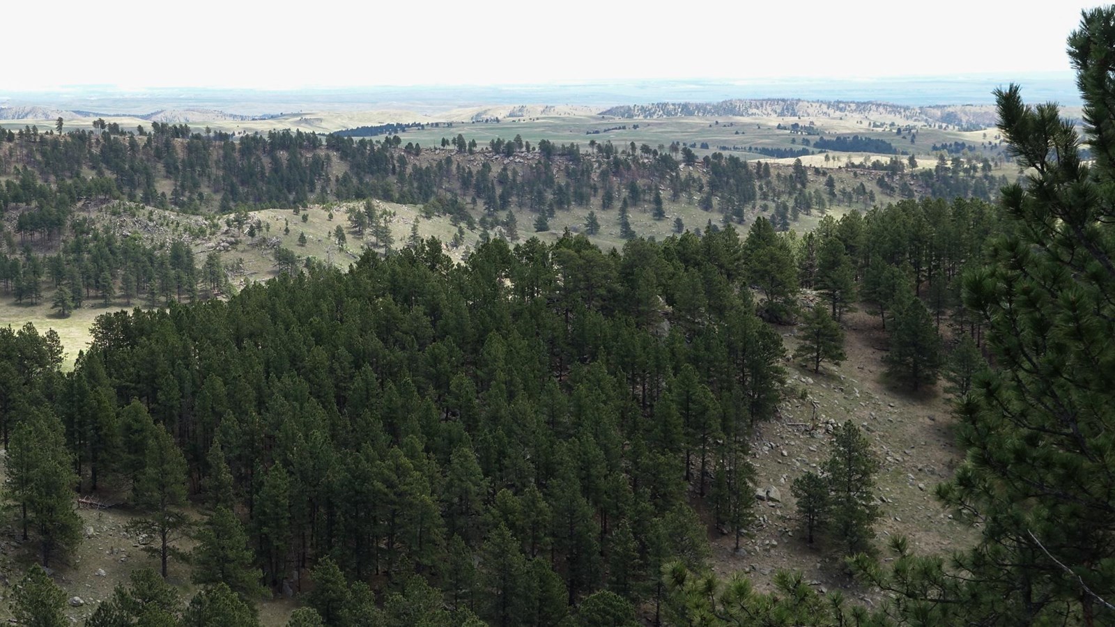 Post #11 The Great Prairie