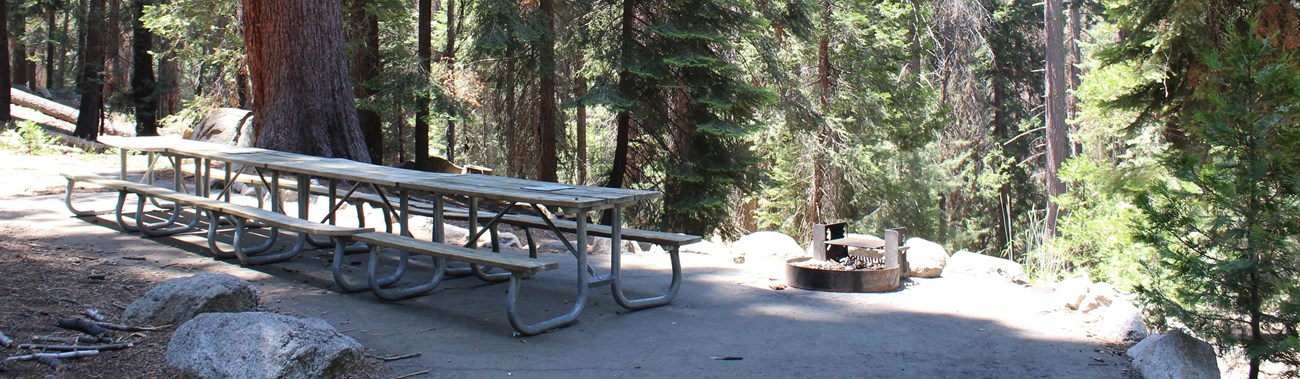 A long picnic table sits under trees next to a campfire ring with grill