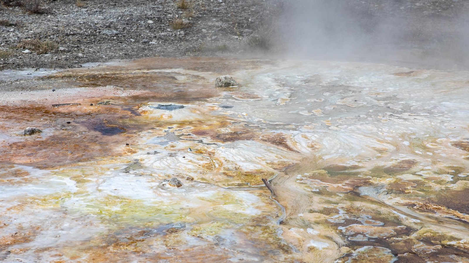 A hot spring bubbles out of a rocky landscape
