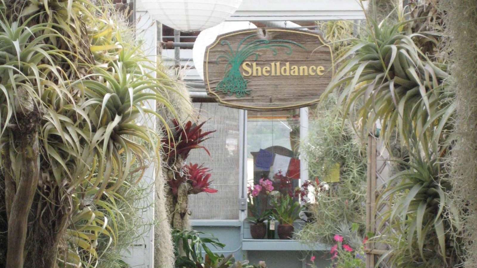  The sales desk at the Shelldance Orchid Gardens.