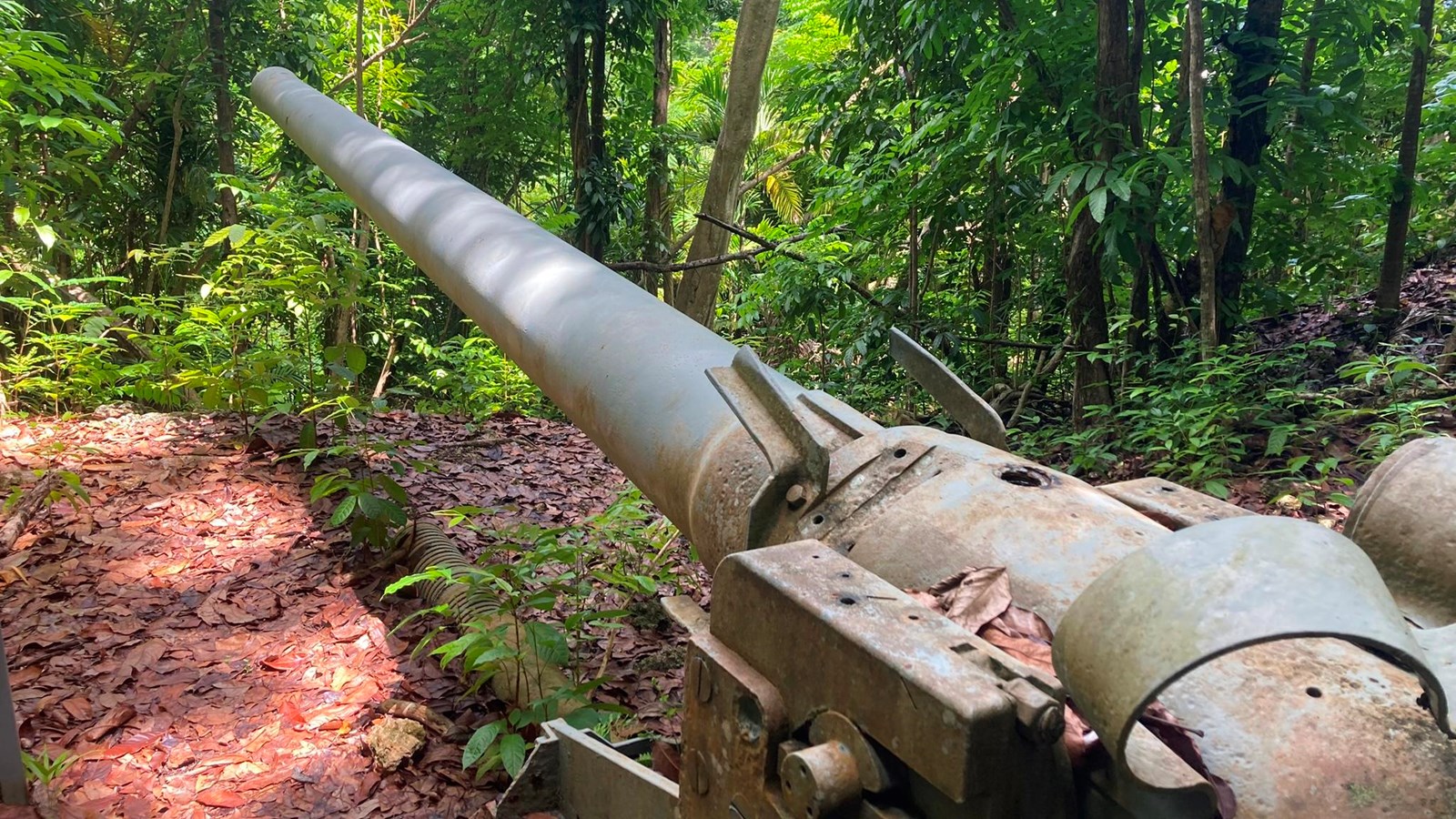 A large metal gun with a long barrel pointing into the forest.