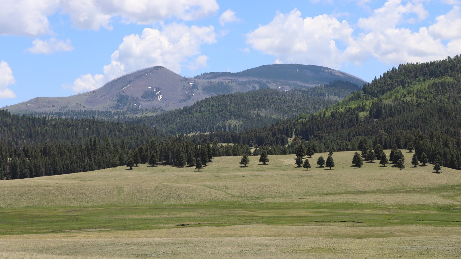 A prominent mountain viewed across a montane grassland