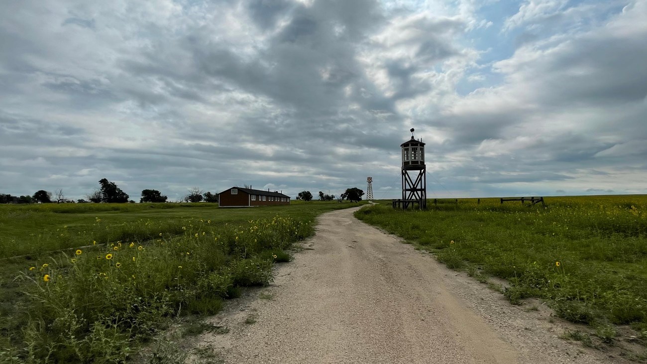 A gravel road through a grassy field towards distant buildings.