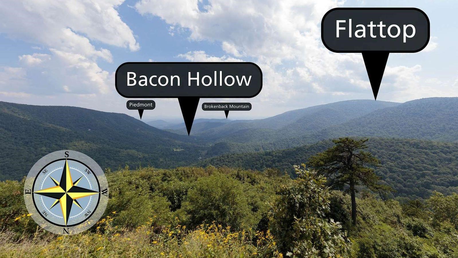 A view over brush into a narrow valley that extends to the horizon.