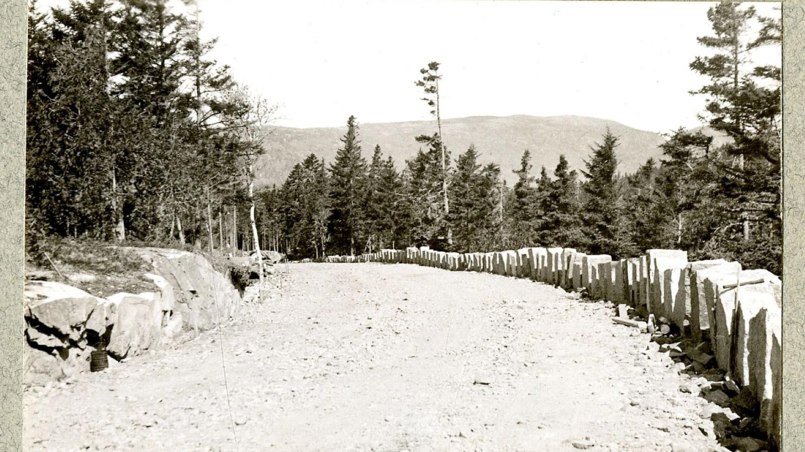 Black and white of curving road in mountains lined by trees. 
