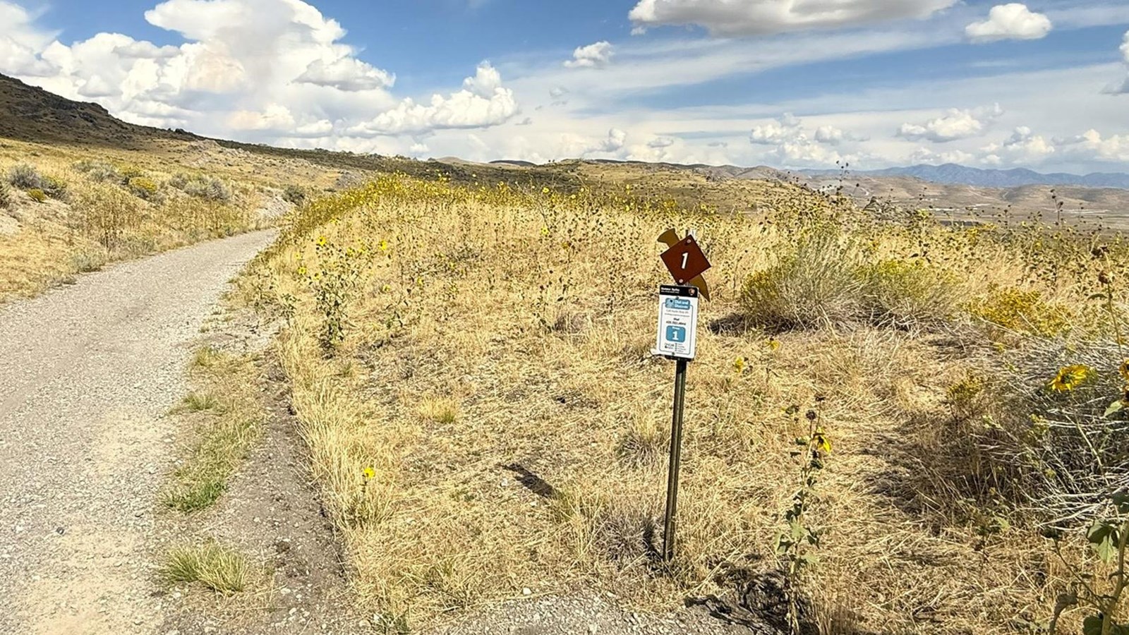 #1 Steep Grade and Orange Special Legend