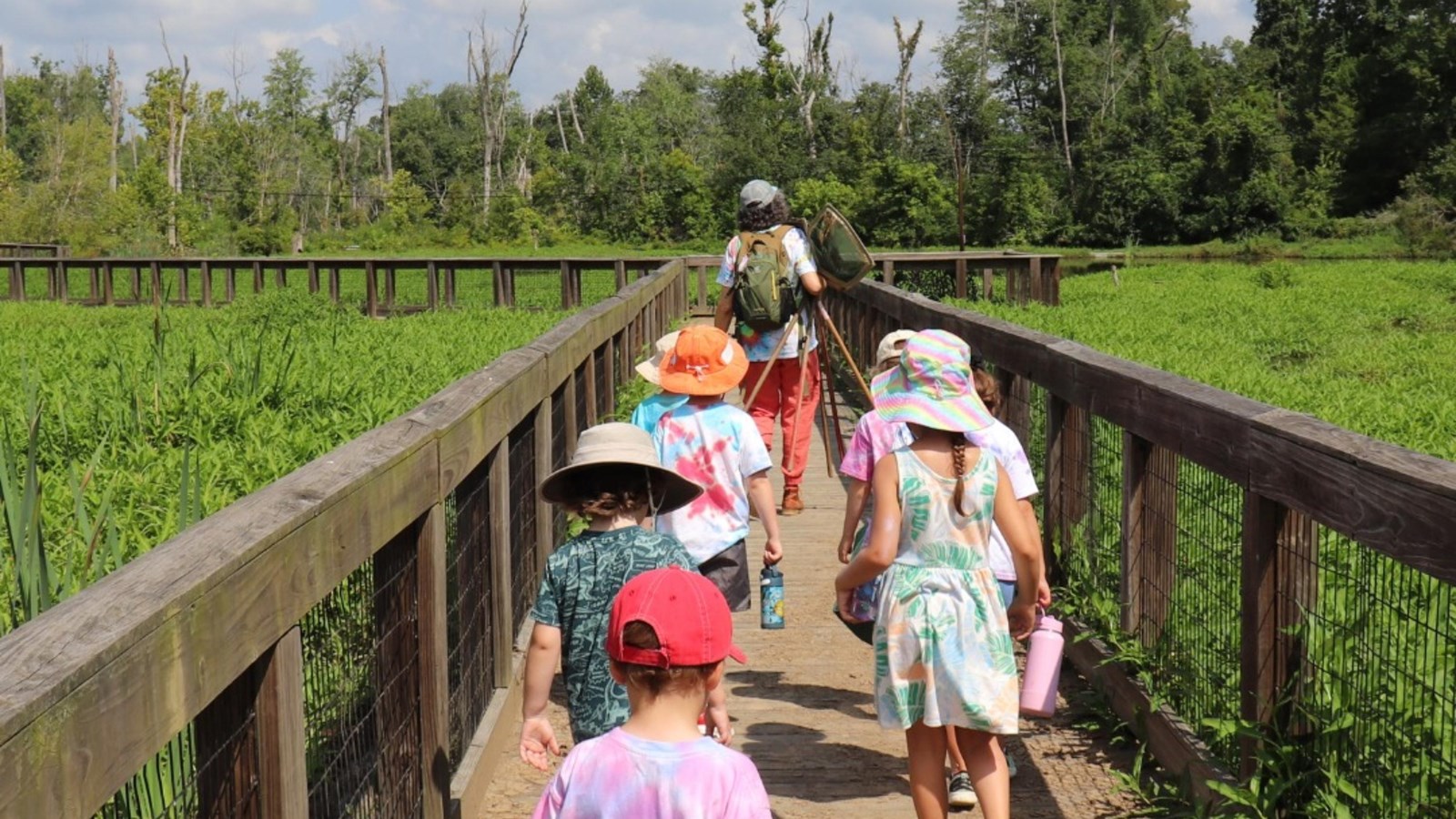 Children walk along a wooden boardwalk through a green wetland, led by an adult under a blue sky.