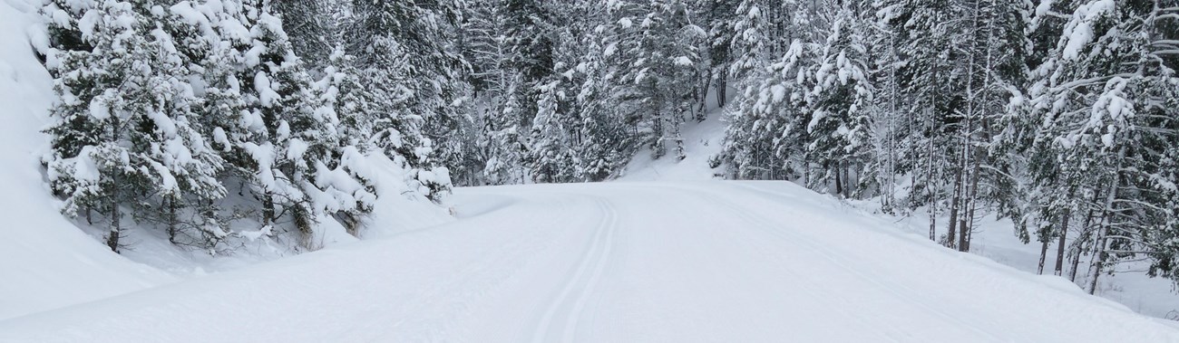 Freshly groomed classic ski tracks await skiers.