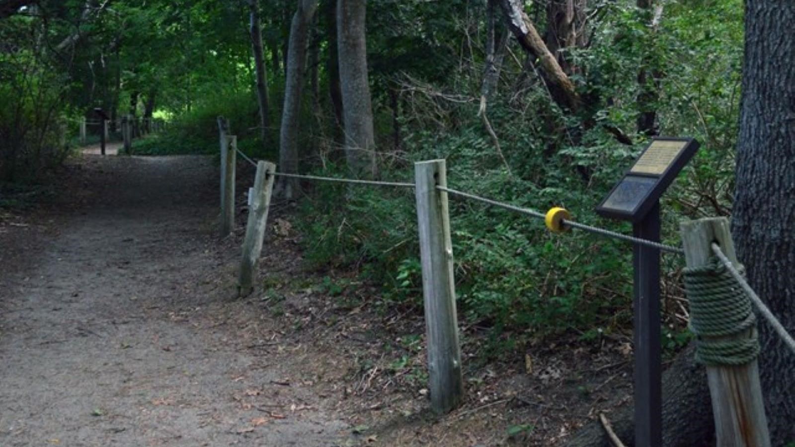 Trees and rope surround the trail entrance.