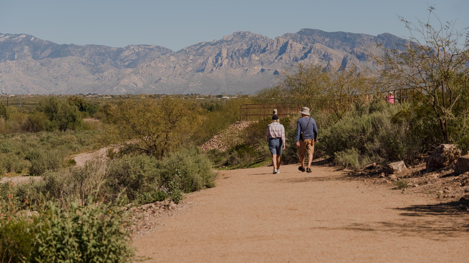 Two hikers walk down a wide dirt trail through cacti with mountains ahead