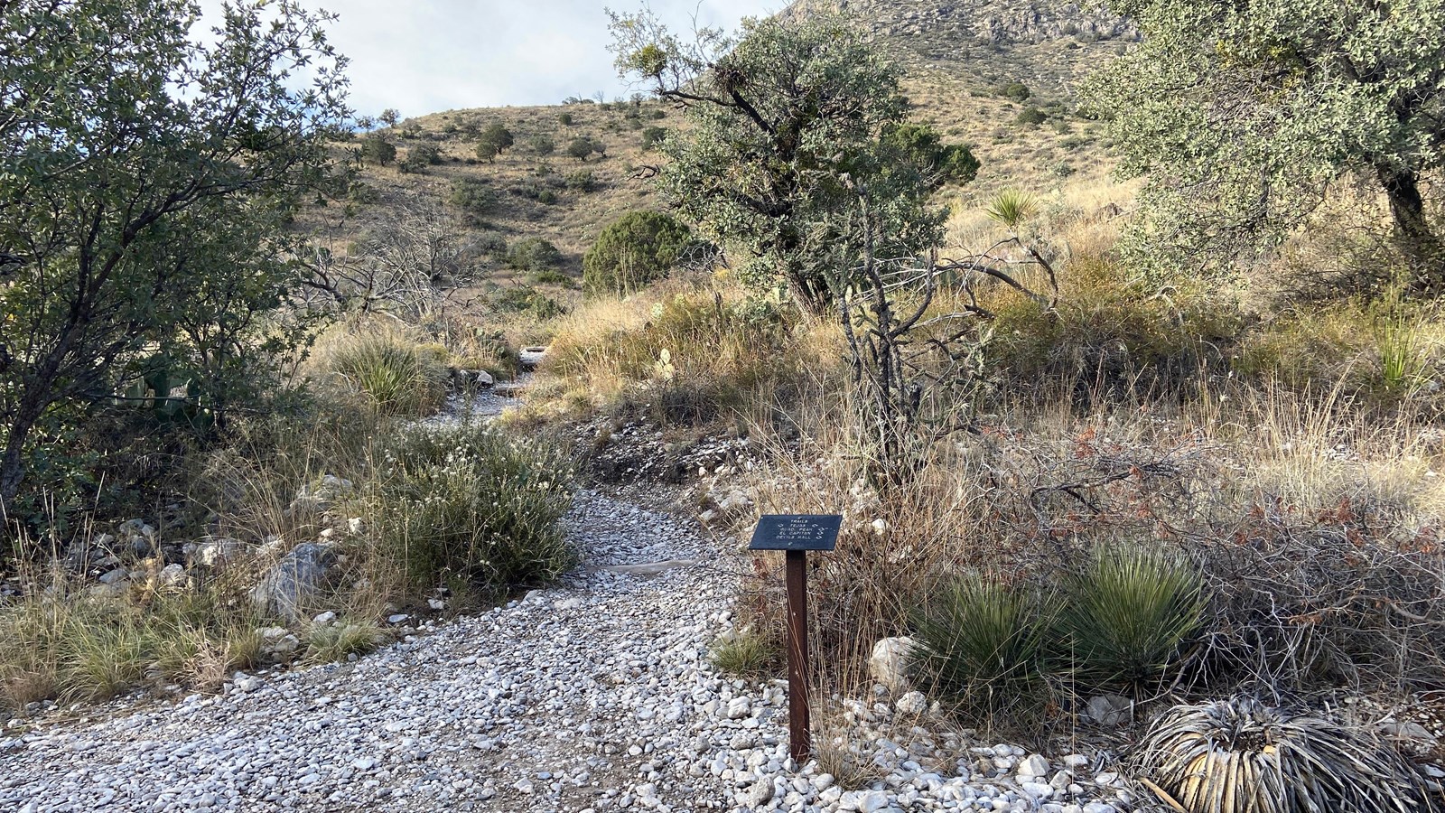 A trail junction sign stands along a trail in a desert scrub landscape