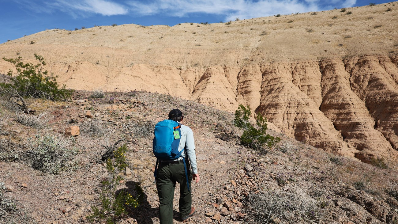 A ranger hiking up an incline on the Lake View Trail.
