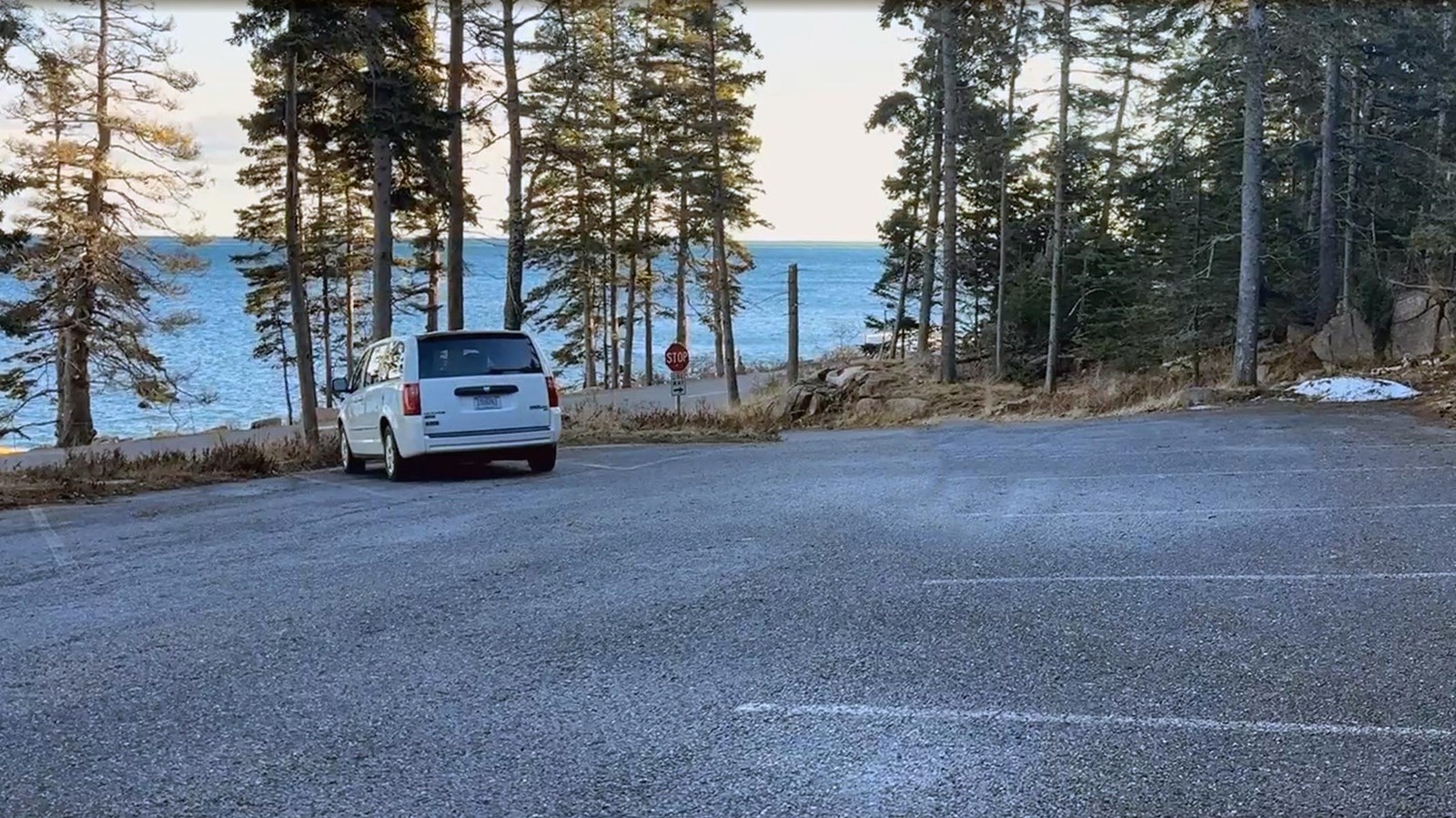 Asphalt parking area with white lines, a parked minivan, surrounded by tall spruce trees