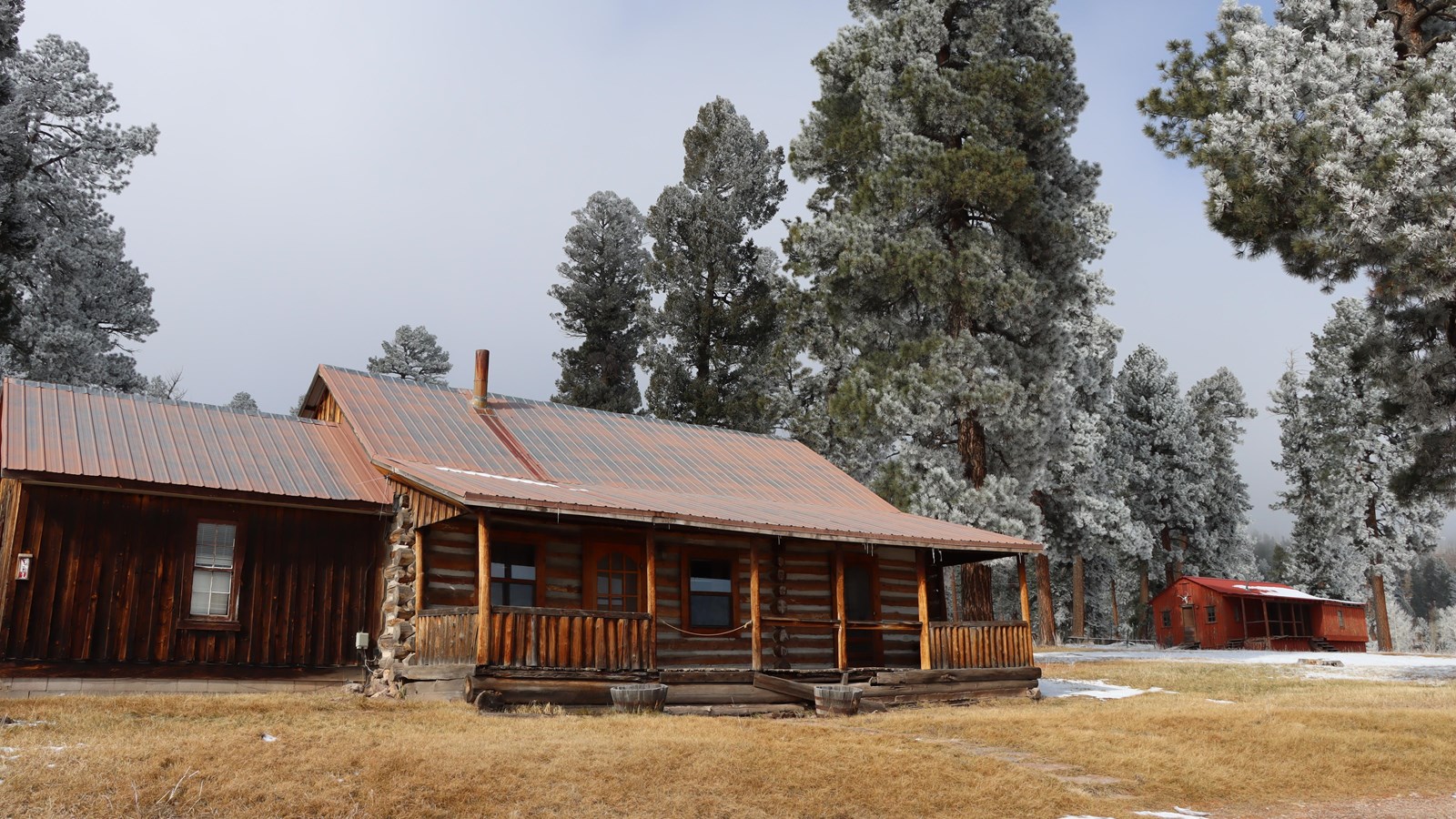A historic log cabin surrounded by tall pine trees