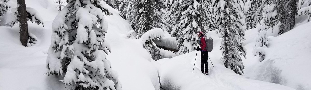 A skier pauses from breaking trail along the SpringCreek Trail.