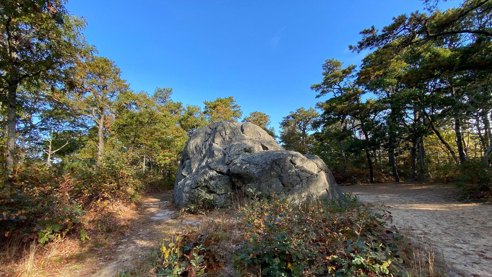 Image of Doane Rock surrounded by trees and blue sky.