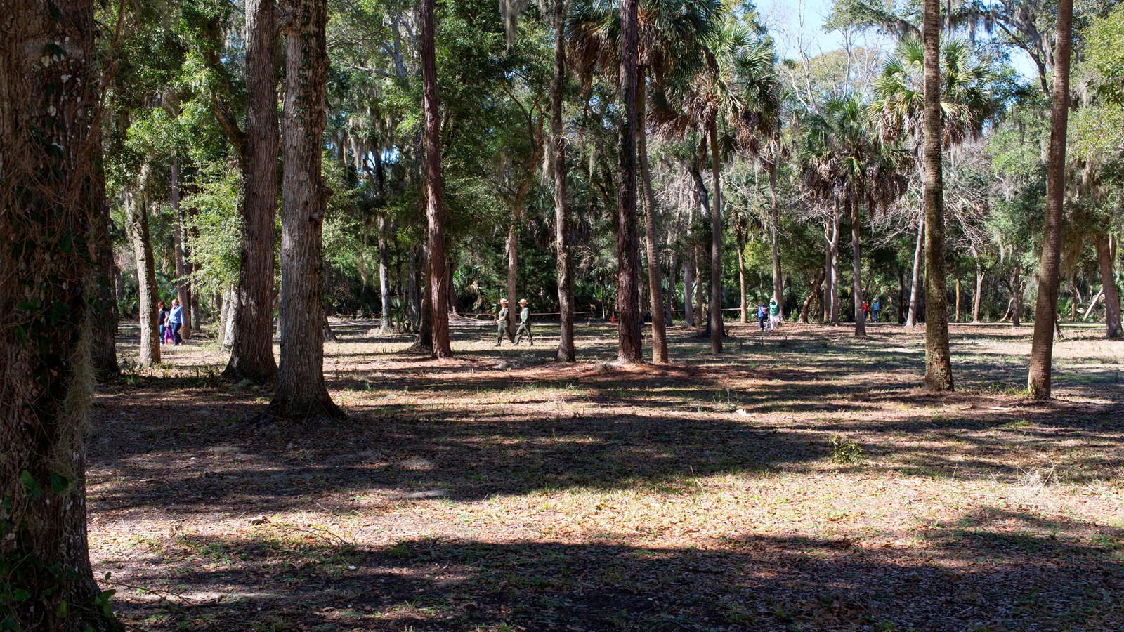 a wooded area 
