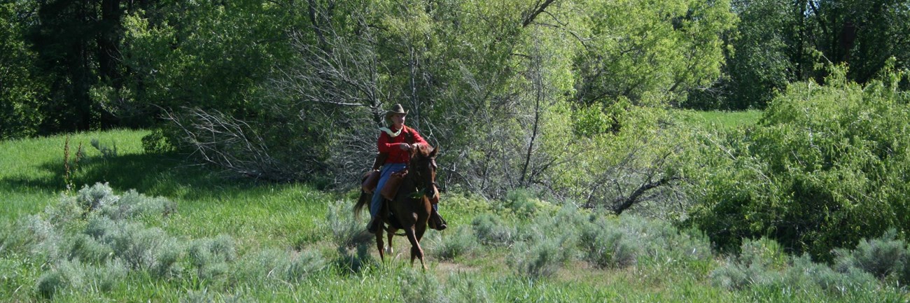 Person in red shirt horseback riding