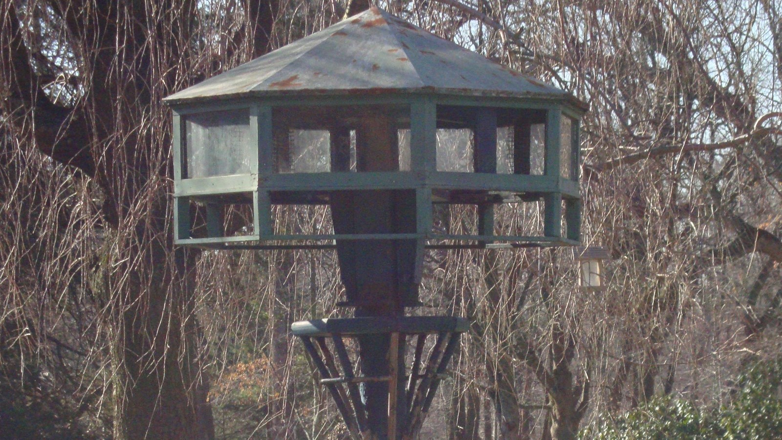 Green, painted wooden bird feeder, atop pole inserted in ground, grass and trees surround. 