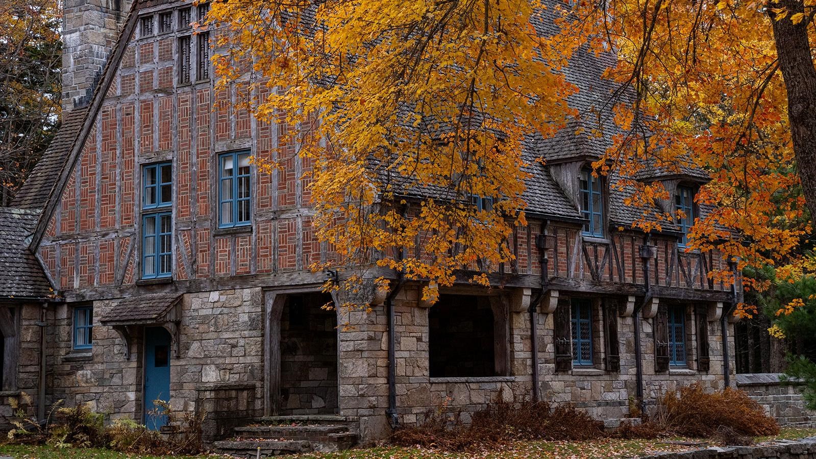 a yellow leafed tree drapes in front of a brick and masonry structure