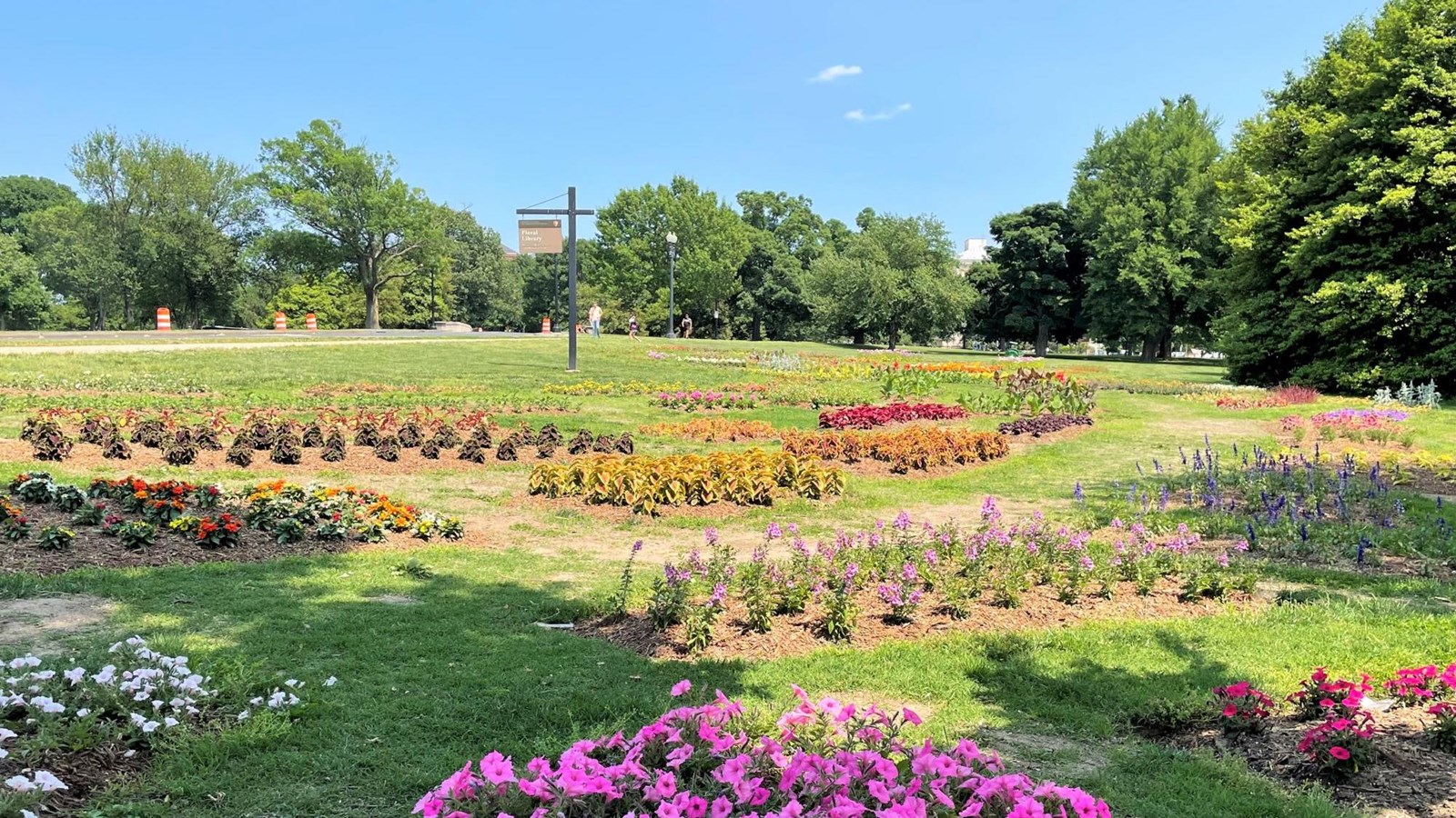 Several plots of colorful flowers with grass paths between them.