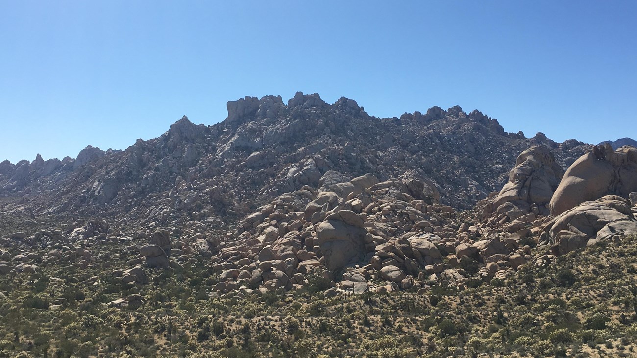 The granite mountains look like tan boulders piled on top of each other. Green bushes in foreground.