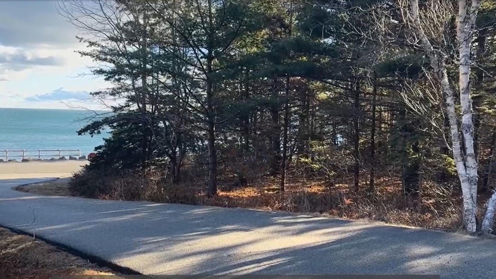 Narrow asphalt roadway though dense spruce and birch trees with open ocean in the distance