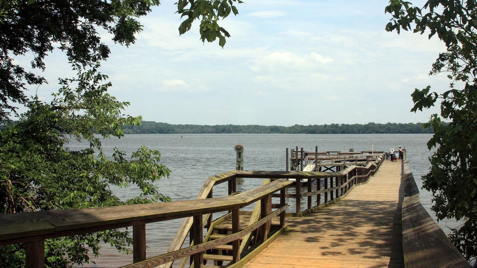 A wooden pier extends past the tree line into a grey blue river