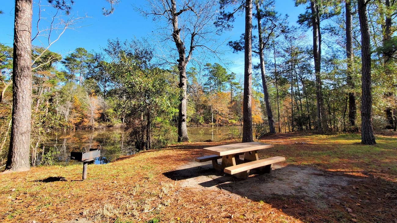 picnic table and metal grill in a forest next to a river