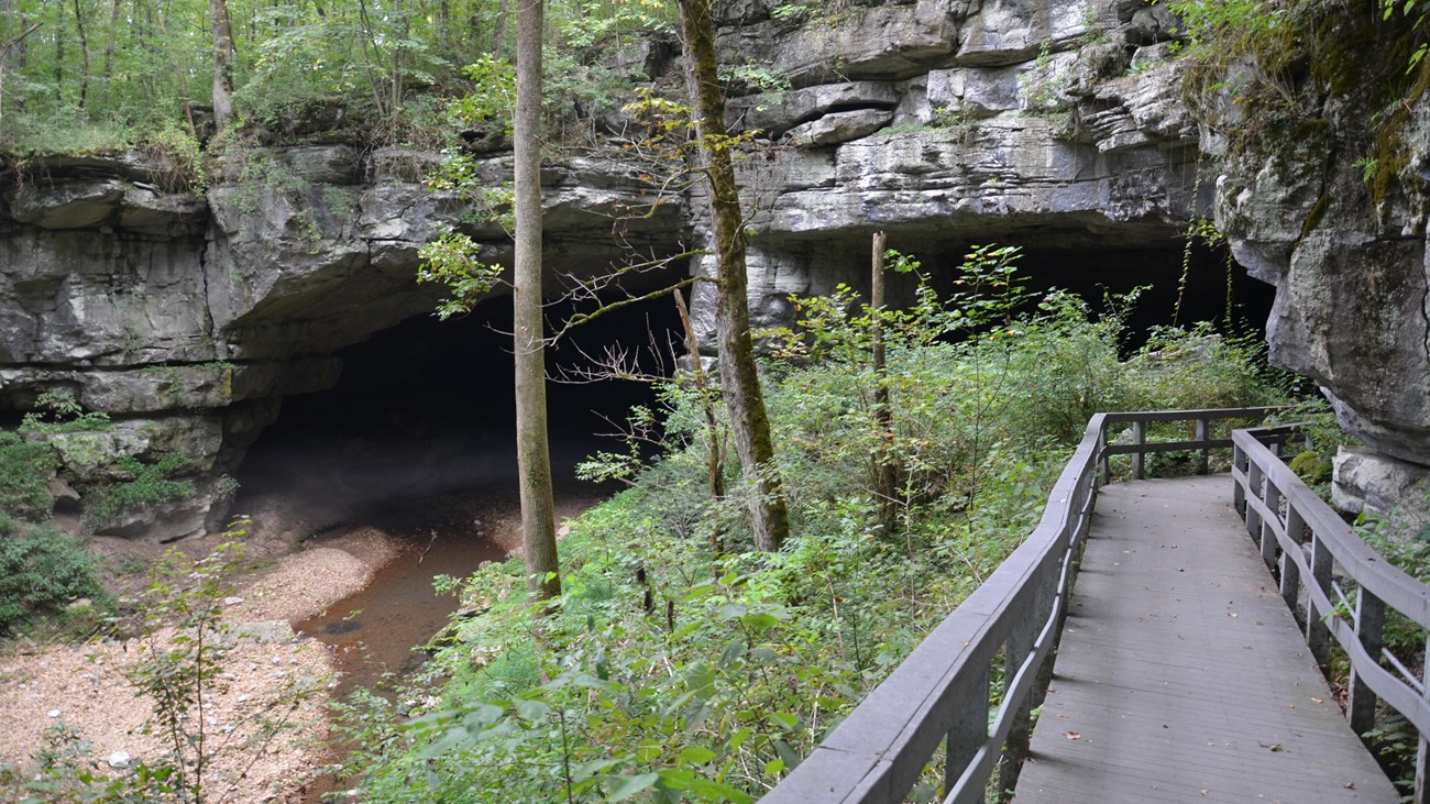 A gray boardwalk spans toward the opening of a cave.